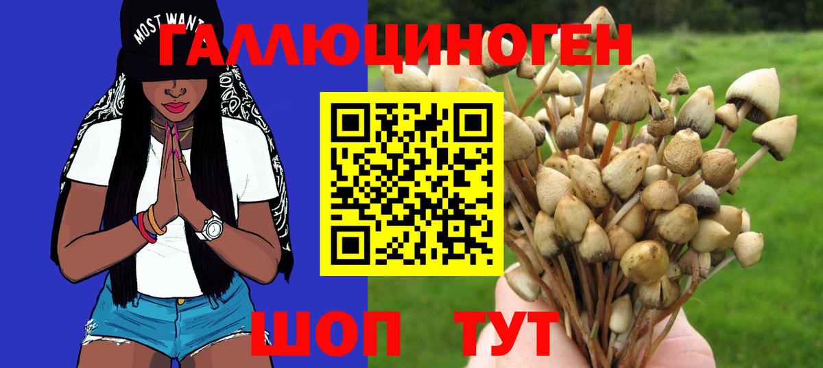 Галлюциногенные грибы мухоморы Конаково